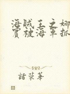 海贼王之娜美罗宾被海军抓住是第几