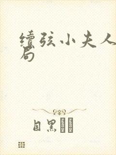 续弦小夫人大结局封面