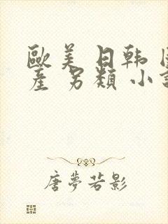 欧美 日韩 国产 另类 小说