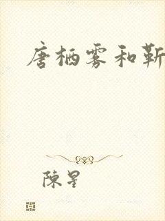 唐栖雾和靳沉野封面