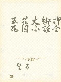 五花大绑押送女死囚小说全文阅读