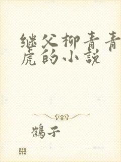 继父柳青青和王虎的小说