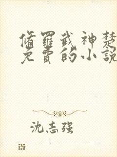 修罗武神楚枫全免费的小说