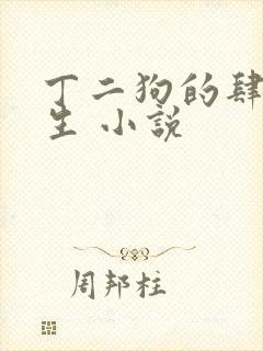 丁二狗的肆意人生 小说