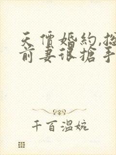 天价婚约,总裁前妻很抢手