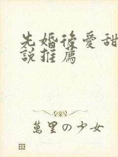 先婚后爱甜宠小说推荐