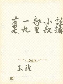 有一部小说主角是九皇叔摄政王