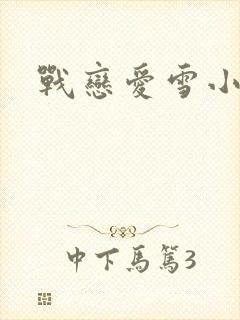 战恋爱雪小说