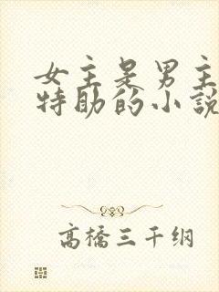 女主是男主首席特助的小说