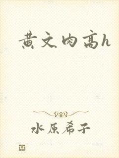 黄文肉高h