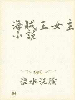 海贼王女主娜美小说