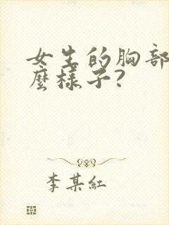 女生的胸部长什么样子?