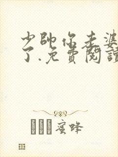 少帅你老婆又跑了.免费阅读