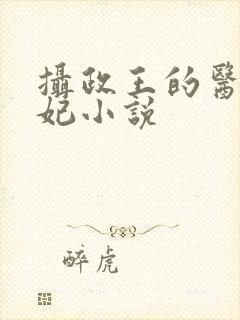 摄政王的医品狂妃小说