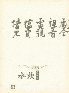 借枪电视剧高清免费观看全集