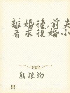 离婚后,前夫哭着求复婚小说阅读