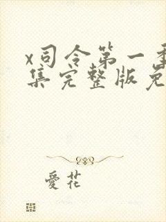 x司令第一季全集完整版免费在哪里观看封面