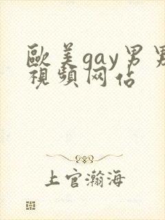 欧美gay男男视频网站
