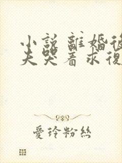 小说 离婚后前夫哭着求复婚