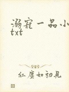 溺宠一品小狂妻txt