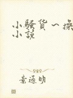 小骚货～操死你小说