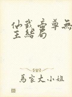 仙武帝尊无泪城主结局封面