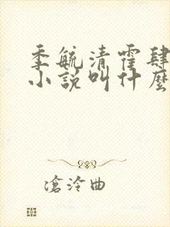 季毓清霍肆宥礼小说叫什么名字