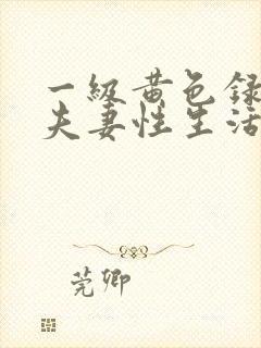 一级黄色录像,夫妻性生活