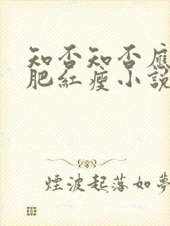 知否知否应是绿肥红瘦小说多少字