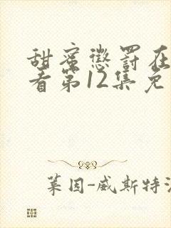 甜蜜惩罚在线观看第12集免费