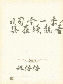 xl司令一季全集在线观看免费播放