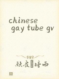 chinese gay tube gv封面