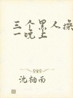 三个黑人操了我一晚上