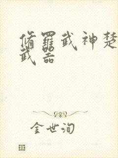 修罗武神楚枫的武器