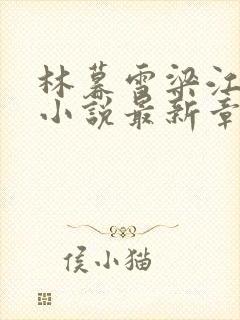 林暮雪梁江涛的小说最新章节免费阅读