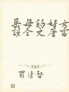 岳母的好女婿小说全文唐雷