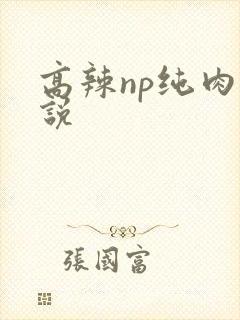 高辣np纯肉小说封面