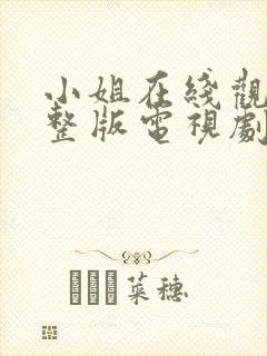 小姐在线观看完整版电视剧免费高清