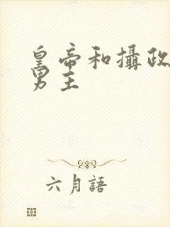 皇帝和摄政王双男主封面