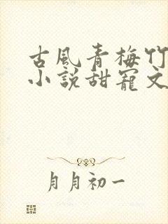 古风青梅竹马的小说甜宠文