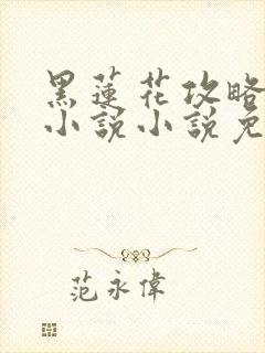 黑莲花攻略手册小说小说免费看