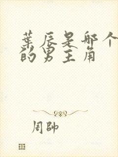 叶辰是哪个小说的男主角