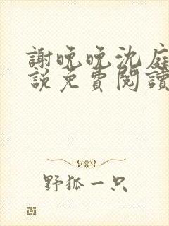 谢晚晚沈庭羽小说免费阅读最新章节