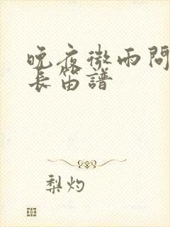 晚夜微雨问海棠长笛谱