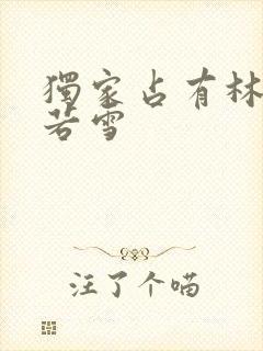 独家占有林凡唐若雪