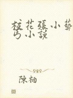 校花张小艺与乞丐小说封面