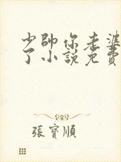 少帅你老婆又跑了小说免费完整版封面