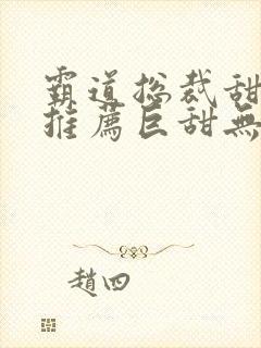 霸道总裁甜宠文推荐巨甜无虐