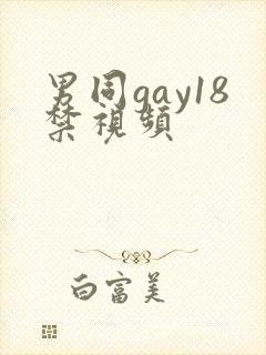 男同gay18禁视频封面