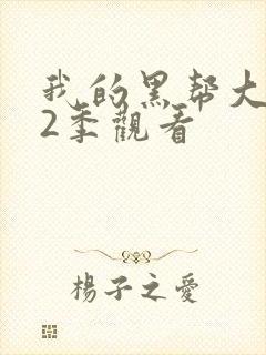 我的黑帮大佬第2季观看